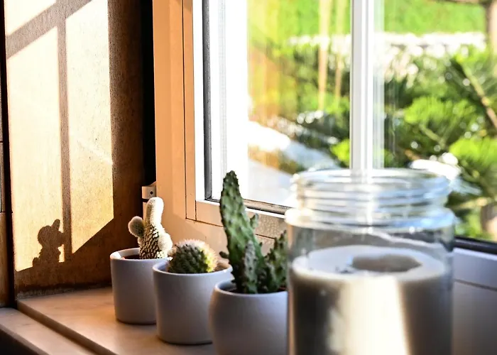 Coworksurf - Dos Irmaos Maison d'hôtes *